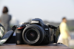 Canon de Nikon