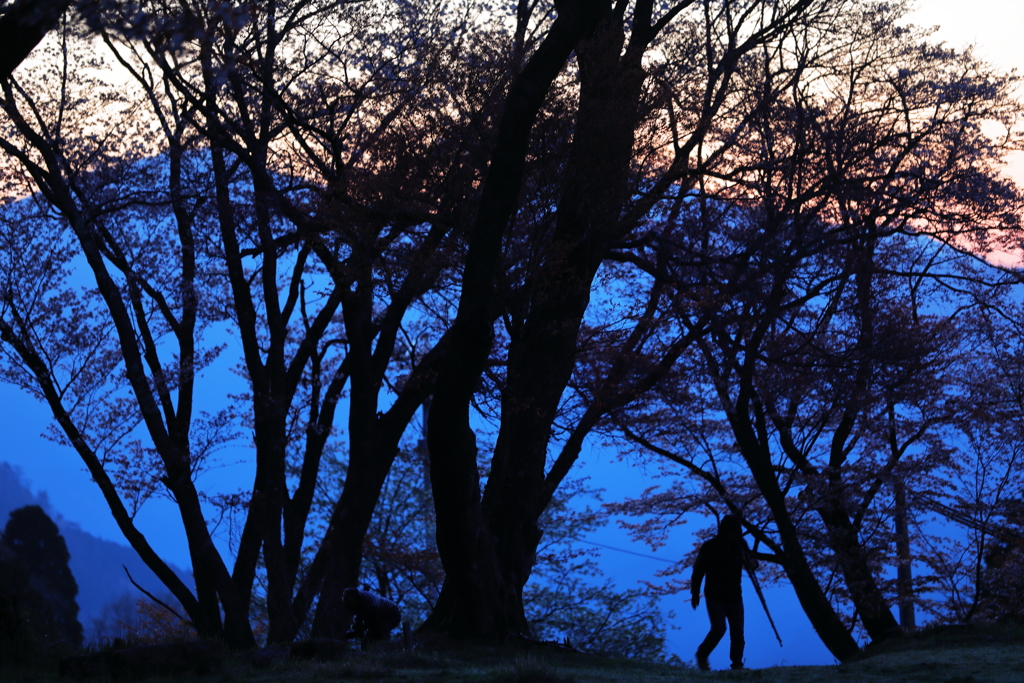 屏風岩公苑の夜明けを撮る