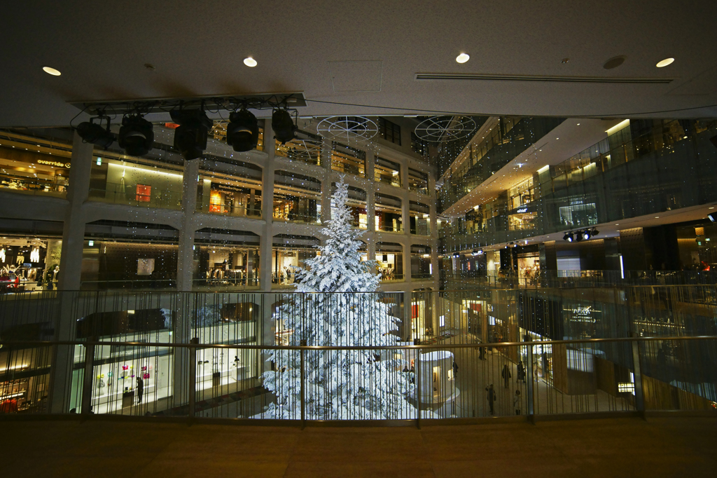 Christmas tree at kitte