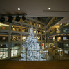 Christmas tree at kitte