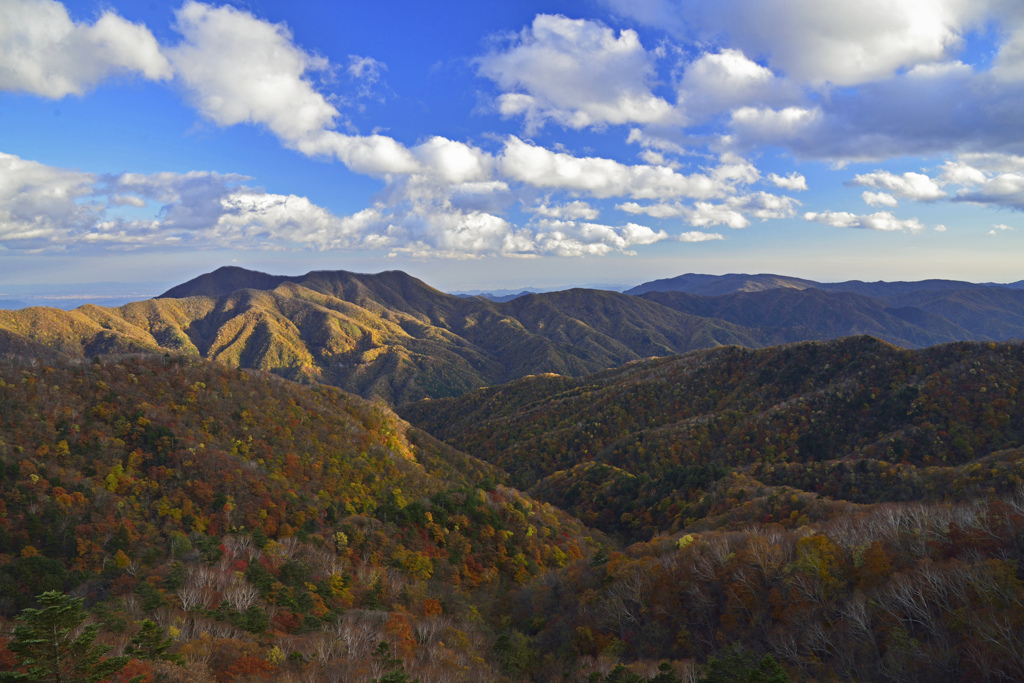 日光紅葉パッチワーク