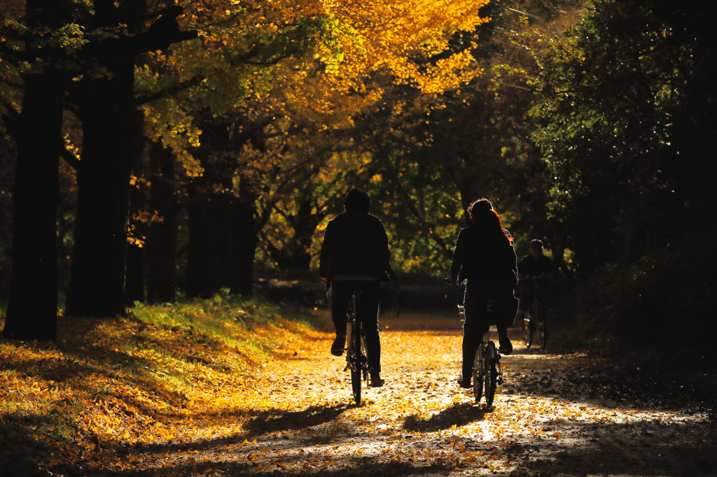 Yellow Cycling Road