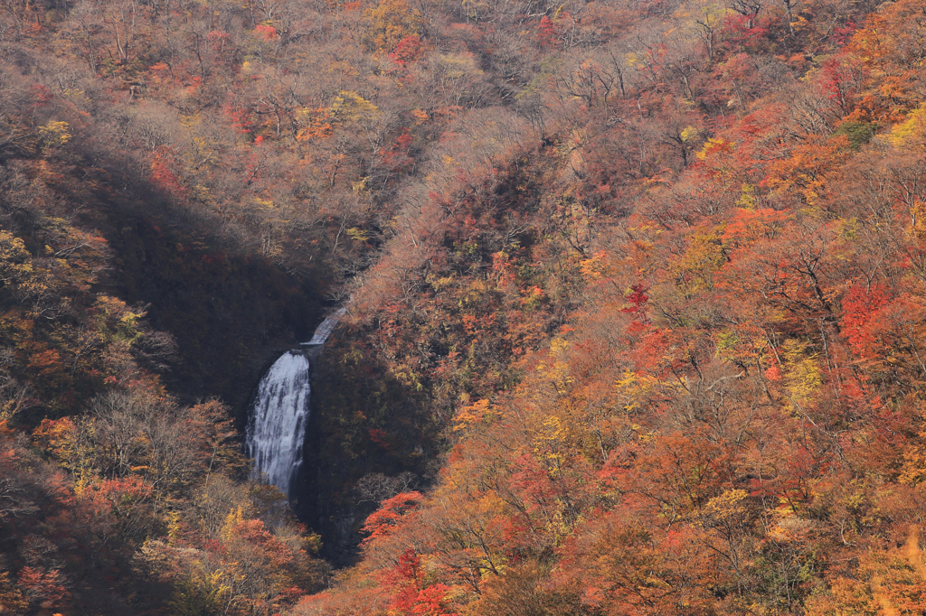 紅葉の蔵王不動滝
