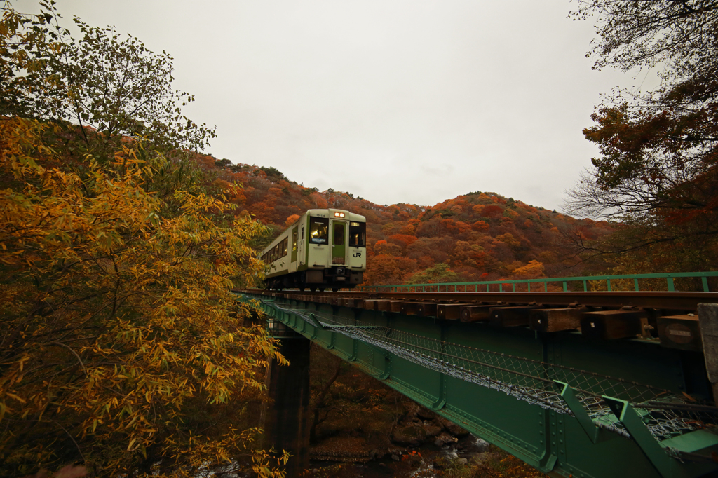 紅葉列車