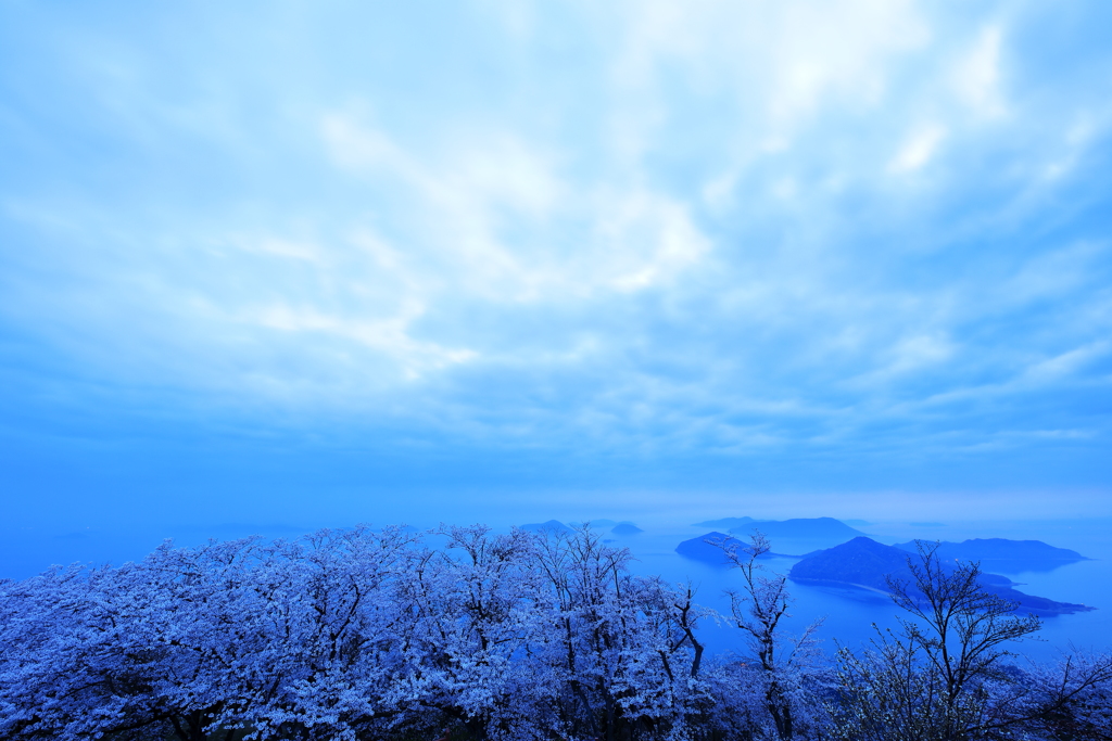 紫雲出山頂より桜と瀬戸内海の島々を堪能する