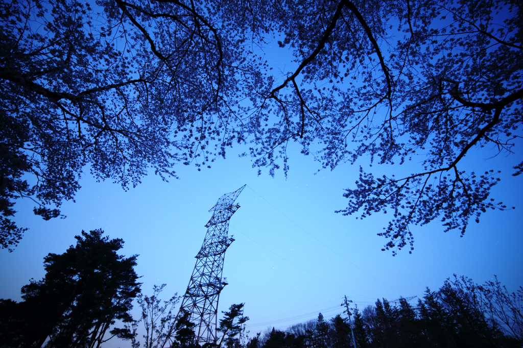 赤城の夜明け