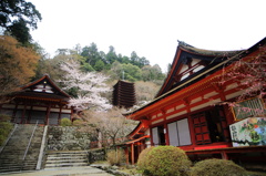 談山神社春爛漫