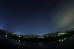 白石堤千本桜と北斗七星