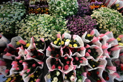 店先の花々