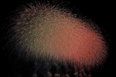 Fireworks in Sakura color