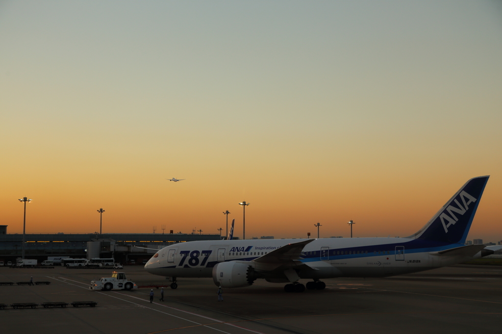 夕暮れの羽田空港から出発していくB787