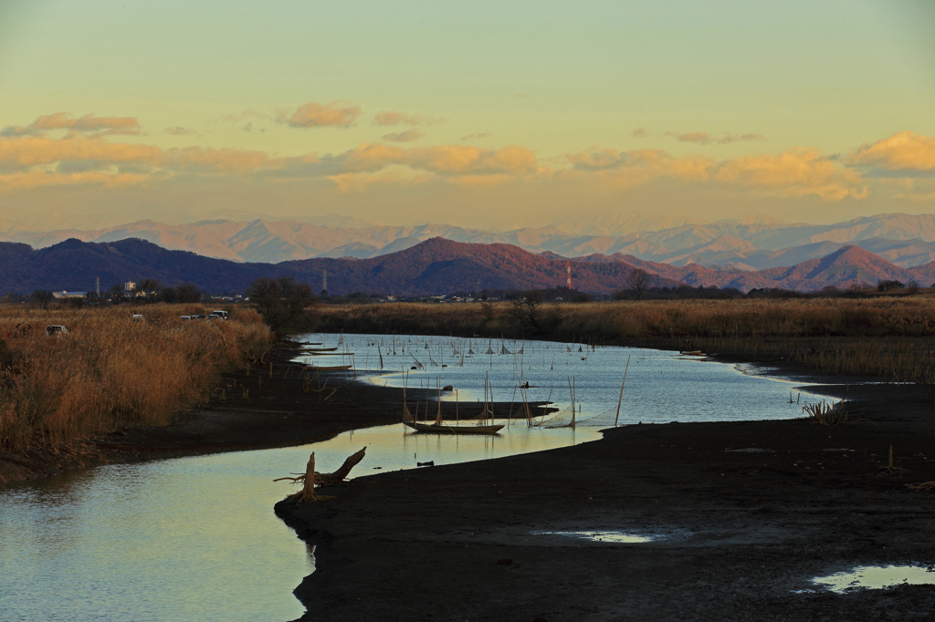 遊水池の静かな朝の風景