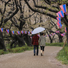 ふたりの桜道