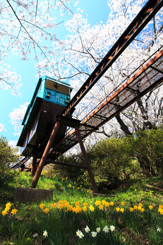 船岡城址公園のケーブルカー