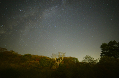 紅葉、白樺、輝く星空