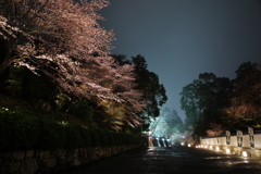 小雨に煙る春の三井寺
