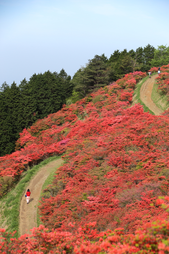 Walk through the red