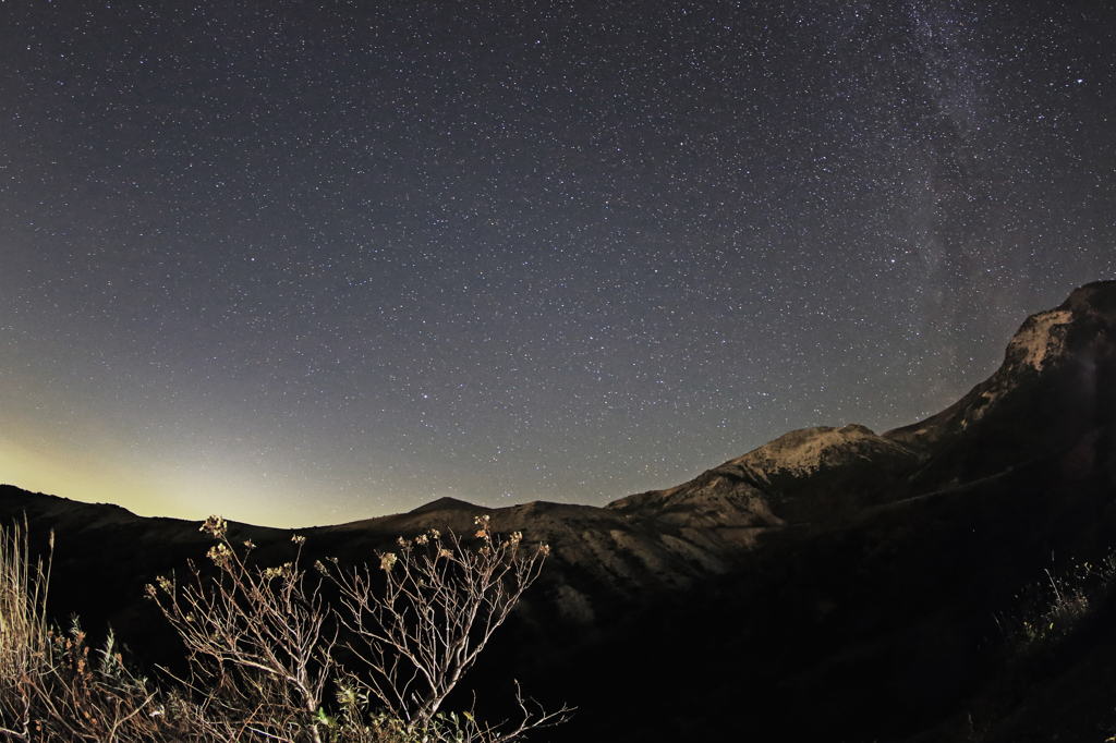アジサイと星空