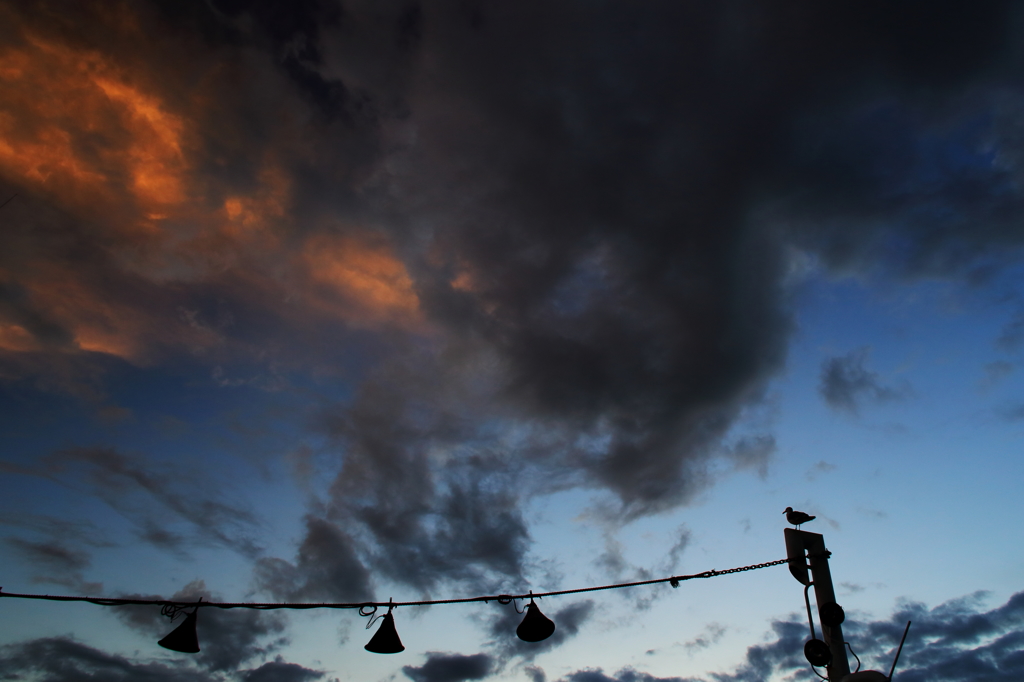 夕暮れの空に佇む