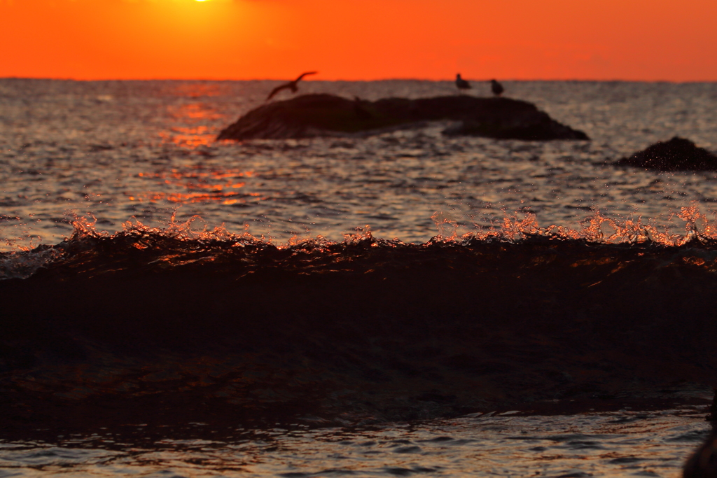 Breaking wave crest