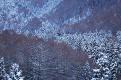 雪山模様