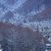 雪山模様