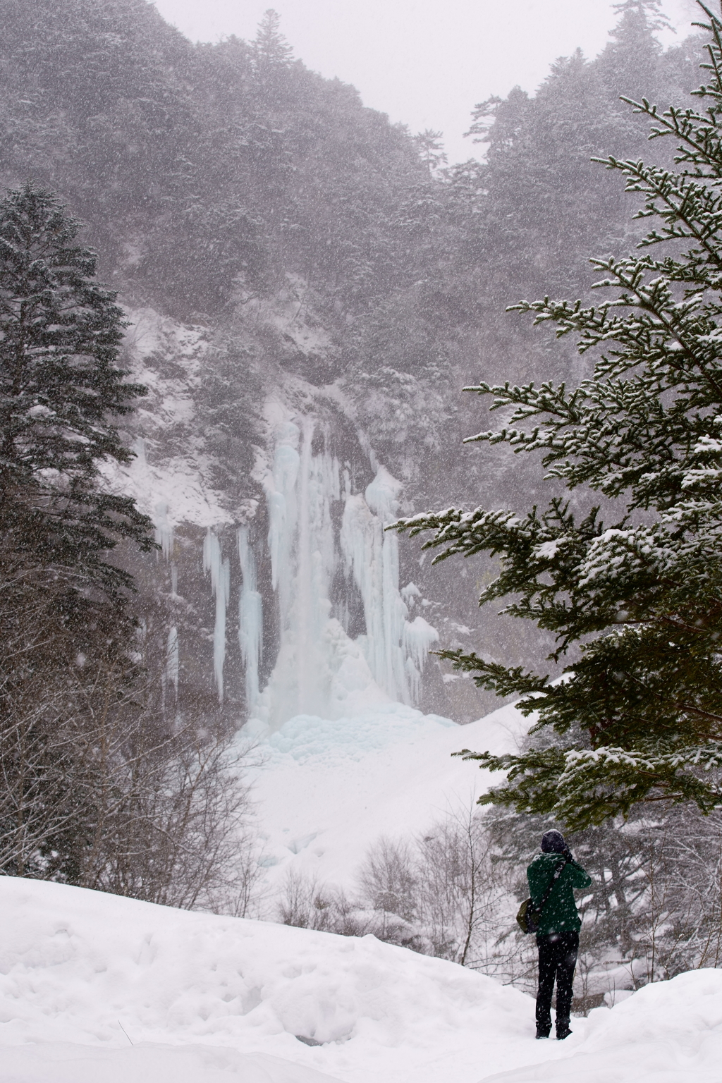 凍りついた平湯大滝を撮る