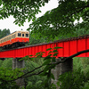 秘境?の列車