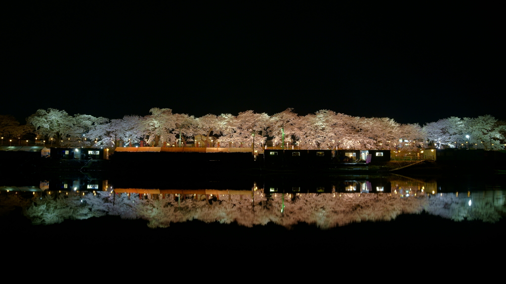 白石川に写る千本桜並木