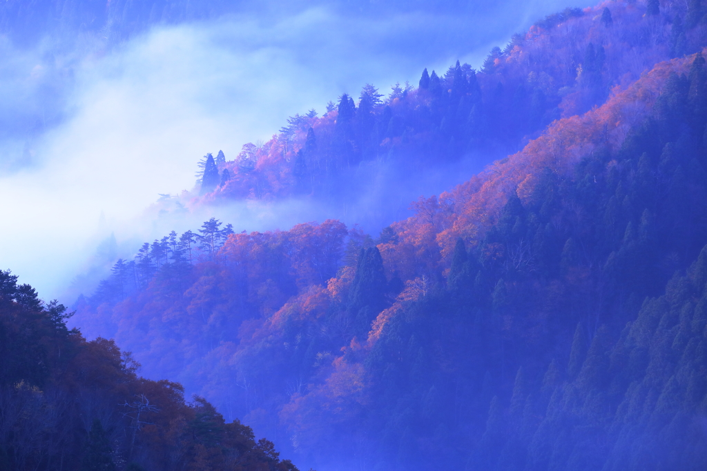 おにゅう谷の稜線の紅葉が朝日に輝く～ブルーバージョン