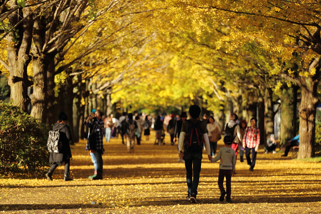 In the Yellow World