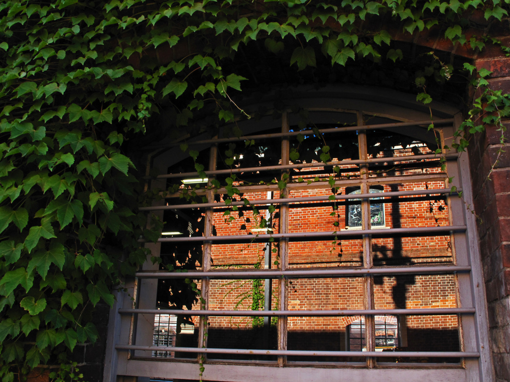 Green　ivy＆Red　bricks
