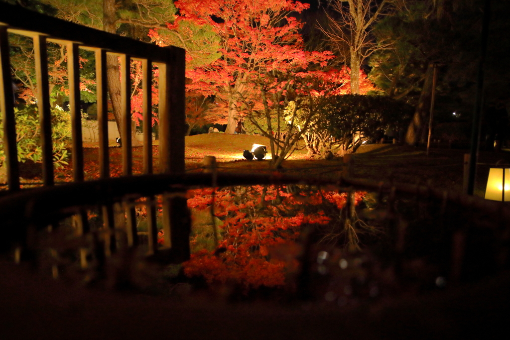 Autumn in the water