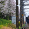 Sakura　Train