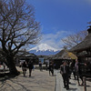 忍野八海から見る富士山