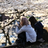 Under cherry trees with friends