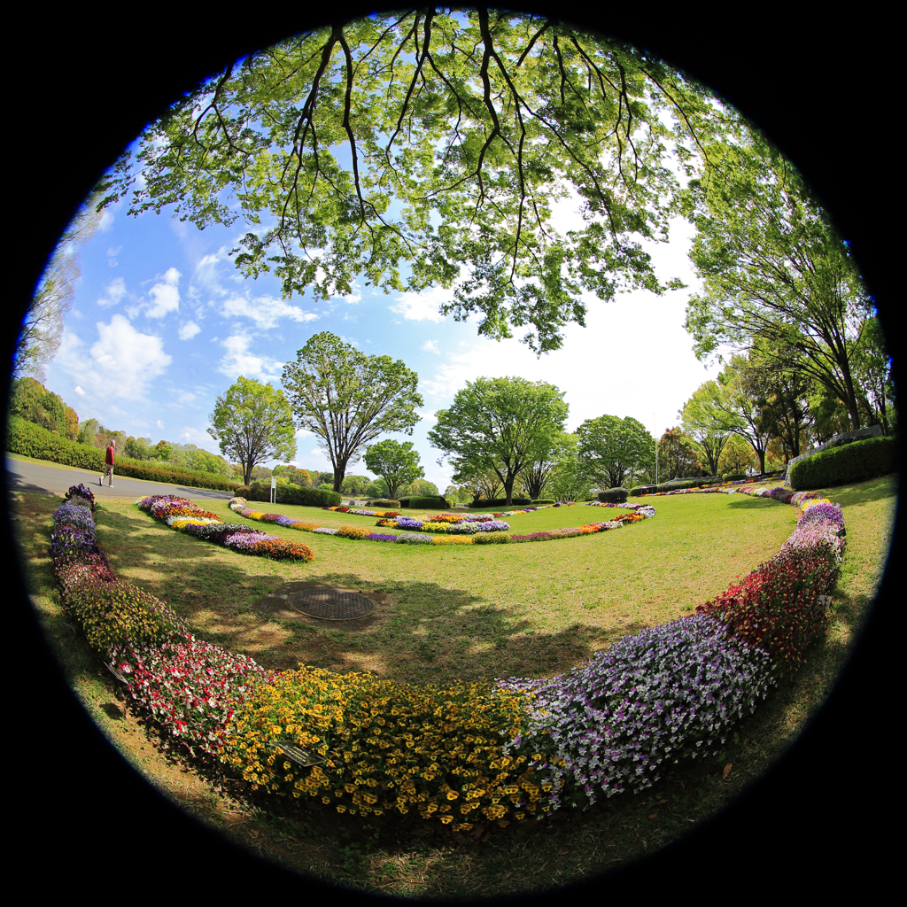 Landscape of spring in the circle