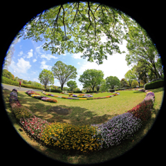 Landscape of spring in the circle