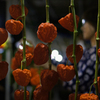 ほおずき市の夜