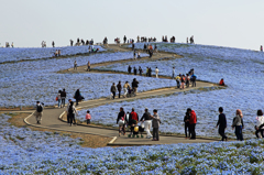 Long and winding road to the top