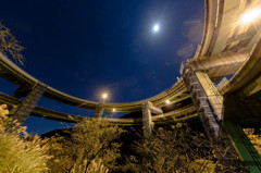 月光下の河津七滝ループ橋