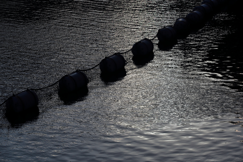 Shadows on the lake