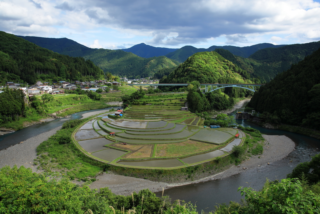 水田に水が張られたあらぎ島の風景
