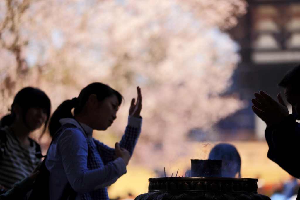 線香の煙と桜