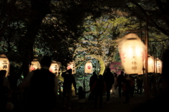 三井寺の桜を楽しみながら漫ろ歩く