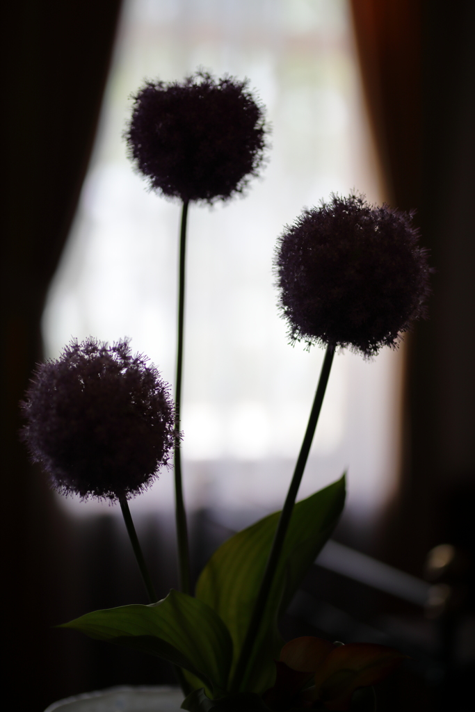 洋館の一室に飾られた花