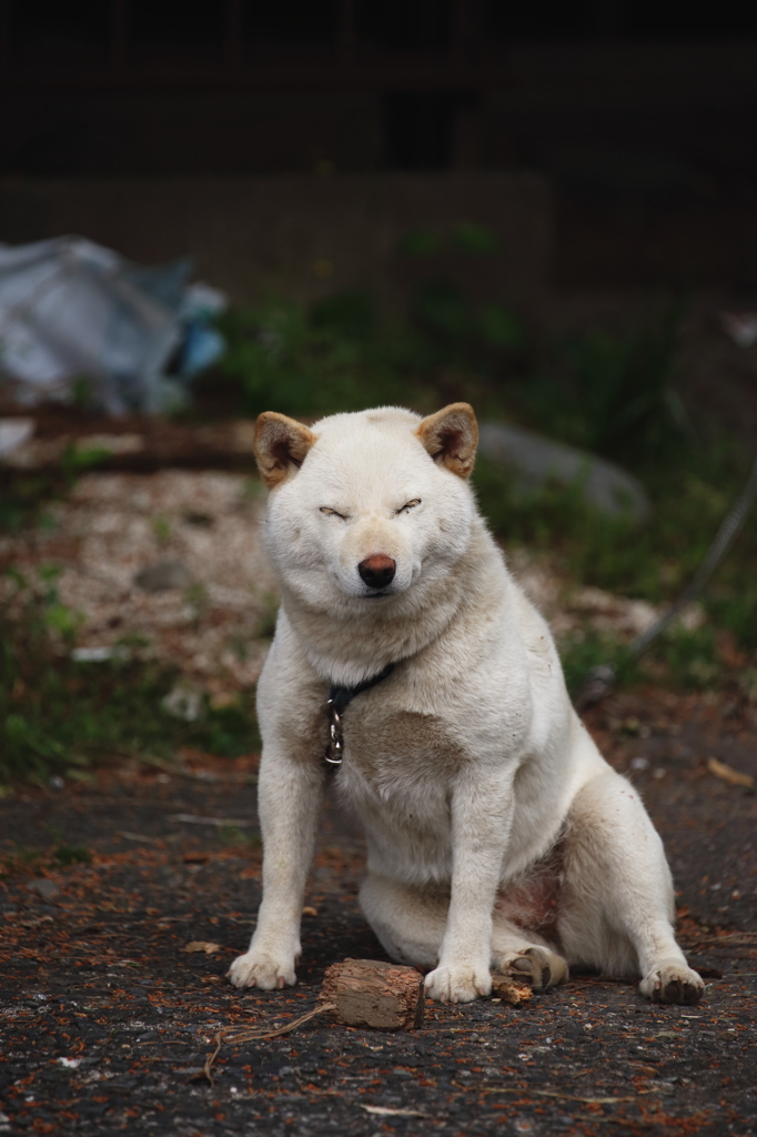 ふぅ