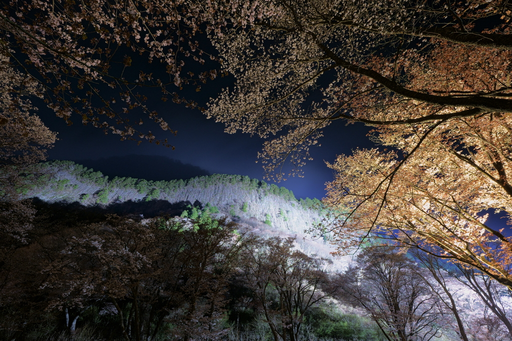 闇に浮かび上がる屏風岩