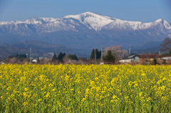 早春の吾妻連峰