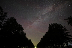 桜並木の上の星空